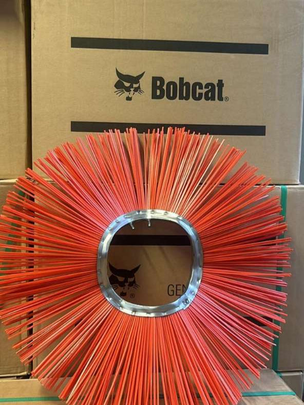Anello  Bobcat